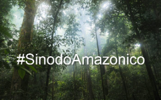 #SinodoAmazonico el hashtag del gran evento eclesial y ecológico